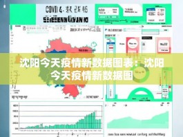 沈阳今天疫情新数据图表：沈阳今天疫情新数据图