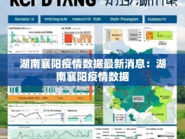 湖南襄阳疫情数据最新消息：湖南襄阳疫情数据