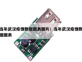 当年武汉疫情数据图表图片；当年武汉疫情数据图表