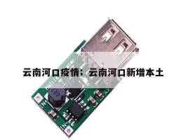 云南河口疫情；云南河口新增本土