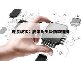 鹿泉现状；鹿泉历史疫情数据图