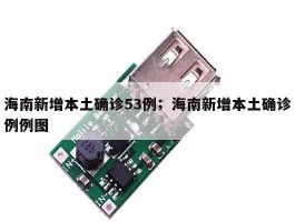 海南新增本土确诊53例；海南新增本土确诊例例图