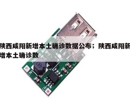 陕西咸阳新增本土确诊数据公布；陕西咸阳新增本土确诊数