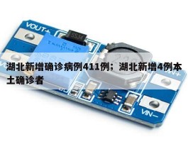 湖北新增确诊病例411例；湖北新增4例本土确诊者