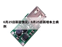 6月25日新冠情况；6月25日新增本土病例