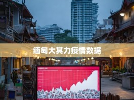 缅甸大其力疫情数据