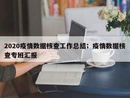 2020疫情数据核查工作总结；疫情数据核查专班汇报