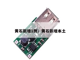 黄石新增1例；黄石新增本土