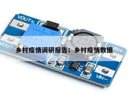 乡村疫情调研报告；乡村疫情数据