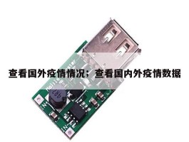 查看国外疫情情况；查看国内外疫情数据