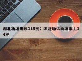 湖北新增确诊115例；湖北确诊新增本土14例