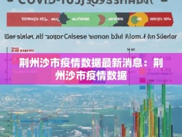 荆州沙市疫情数据最新消息：荆州沙市疫情数据