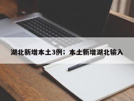 湖北新增本土3例；本土新增湖北输入