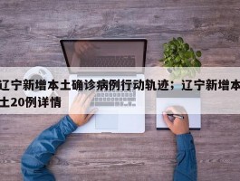 辽宁新增本土确诊病例行动轨迹；辽宁新增本土20例详情