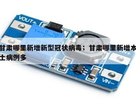 甘肃哪里新增新型冠状病毒；甘肃哪里新增本土病例多