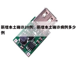 新增本土确诊20例；新增本土确诊病例多少例
