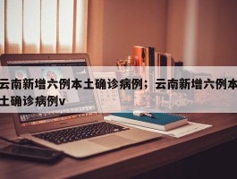 云南新增六例本土确诊病例；云南新增六例本土确诊病例v