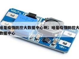 啥是疫情防控大数据中心啊；啥是疫情防控大数据中心