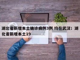 湖北省新增本土确诊病例3例 均在武汉；湖北省新增本土19