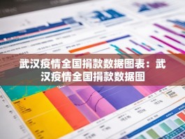 武汉疫情全国捐款数据图表：武汉疫情全国捐款数据图