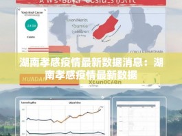 湖南孝感疫情最新数据消息：湖南孝感疫情最新数据