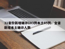 31省份新增确诊103例本土85例；全省新增本土确诊人数