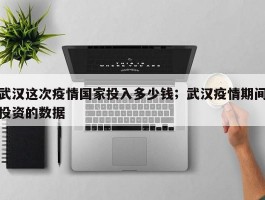武汉这次疫情国家投入多少钱；武汉疫情期间投资的数据