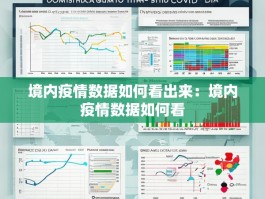 境内疫情数据如何看出来：境内疫情数据如何看