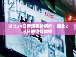 湖北24日新增确诊病例：湖北24日的疫情数据