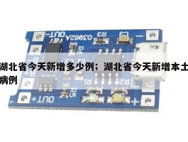 湖北省今天新增多少例；湖北省今天新增本土病例