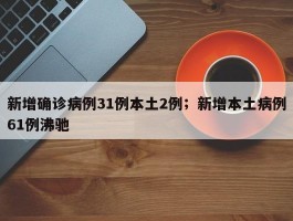 新增确诊病例31例本土2例；新增本土病例61例沸驰