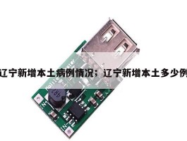 辽宁新增本土病例情况；辽宁新增本土多少例