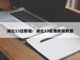 湖北13日新增；湖北13疫情新增数据