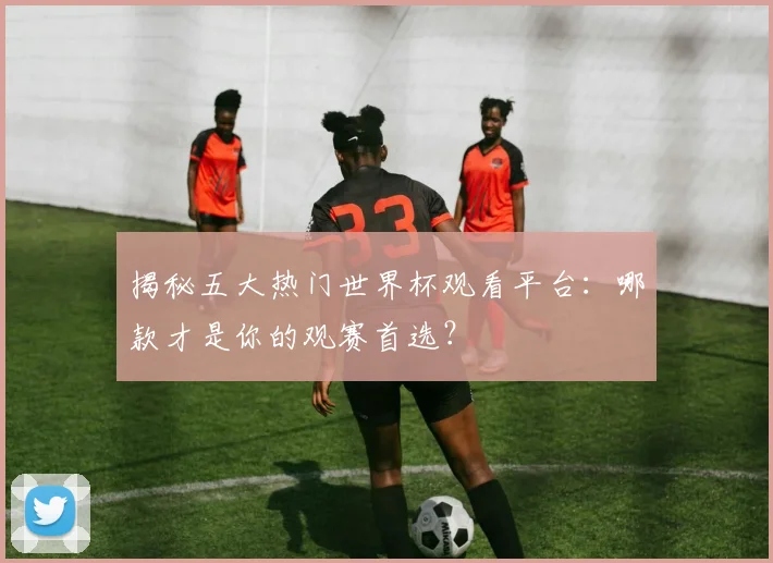 揭秘五大热门世界杯观看平台：哪款才是你的观赛首选？