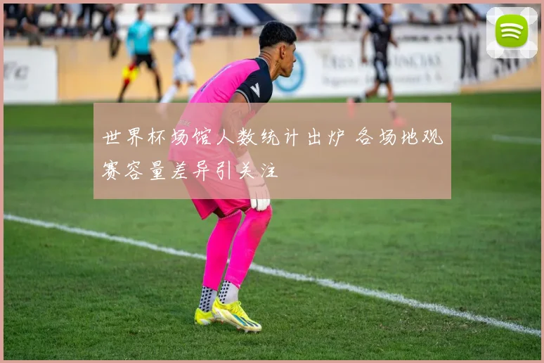 世界杯场馆人数统计出炉 各场地观赛容量差异引关注