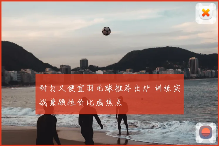 耐打又便宜羽毛球推荐出炉 训练实战兼顾性价比成焦点