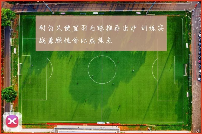耐打又便宜羽毛球推荐出炉 训练实战兼顾性价比成焦点